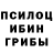 Галлюциногенные грибы Psilocybine cubensis Novan 2020