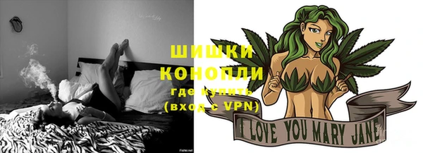 крисы Дмитров