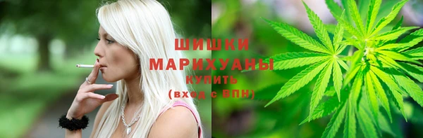 крисы Дмитров