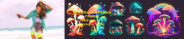 крисы Дмитров