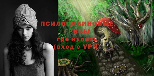 крисы Дмитров