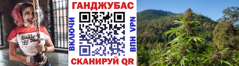 Конопля сатива Купить где Орлов